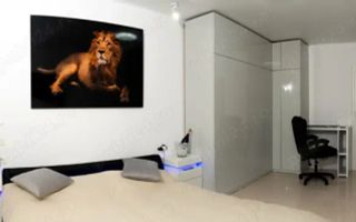 De inchiriat apartament cu 2 camere LUX , Parcul Carol - Poză 5