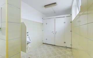 Pensiune in Arad (Vladimirescu) pe DN7 - Poză 14