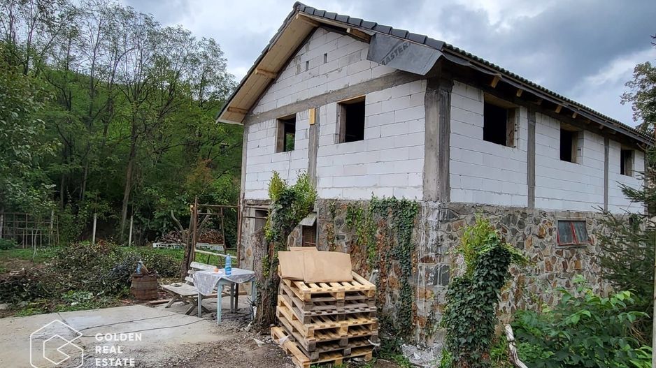 Casa de vacanta Baratca, comuna Paulis - Poză 2