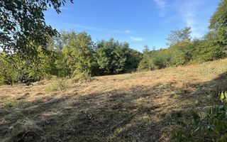 Teren intravilan 3003 mp cu casă bătrânească, fântână și curent electric în Dobrovat, Iași - Poză 6