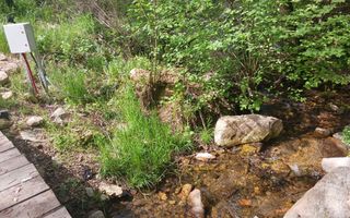 Teren pentru cabana, Marajdie deschidere la rau Gura Raului Sibiu - Poză 9