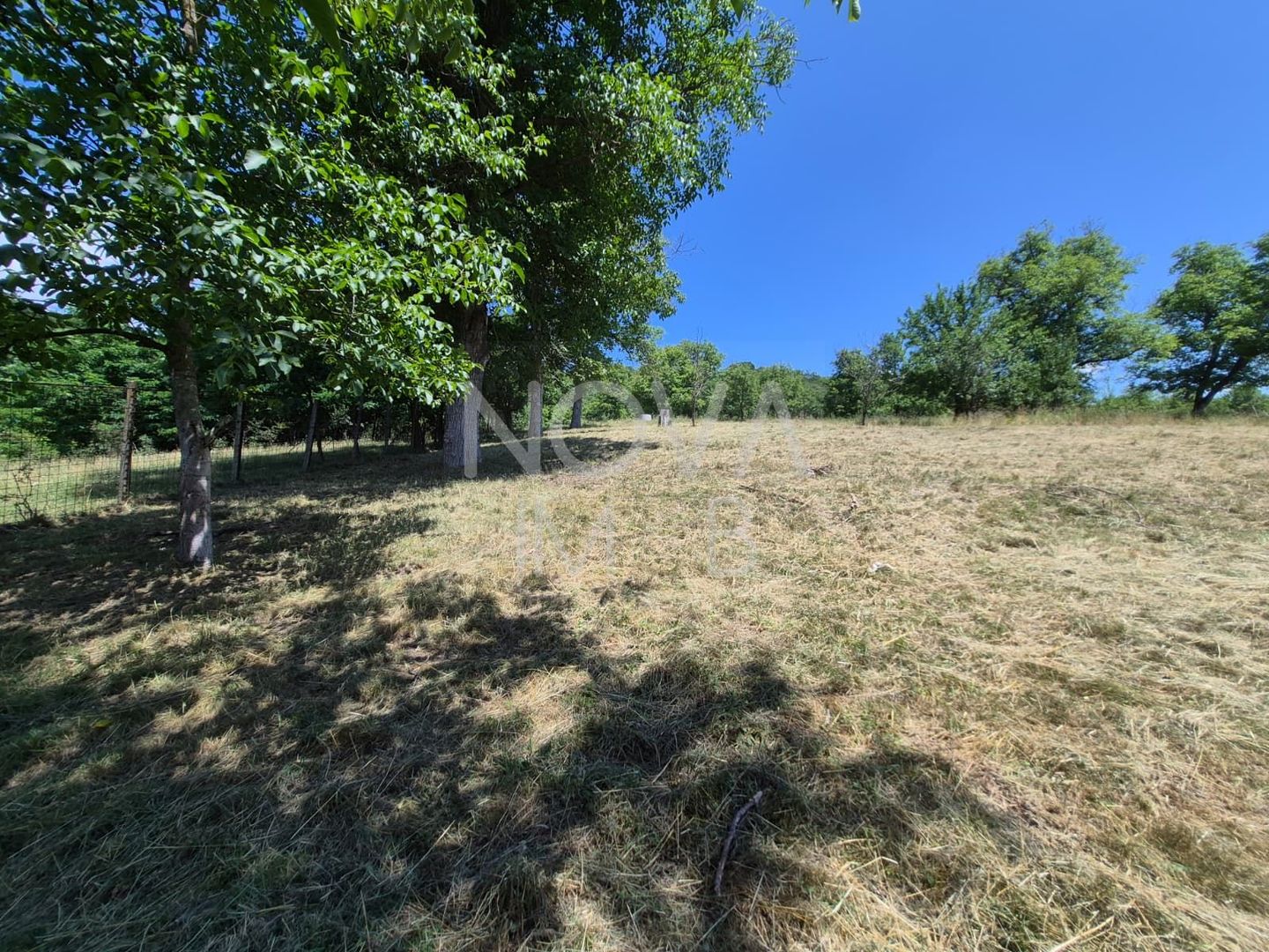 Casa individuala cu teren generos – 8.356 mp – Tichindeal, jud. Sibiu - Poză 46