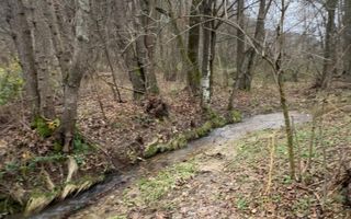 Teren intravilan 6.500 m²–Deschidere 144 ml drum european E81, km 35, Morăresti - Poză 3