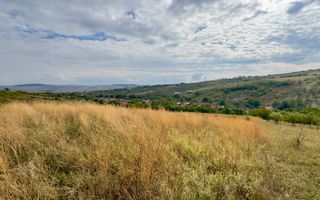 Teren 4.000 mp | Front Generos 47 ml | Utilități | La Asfalt | Cricău - Poză 8