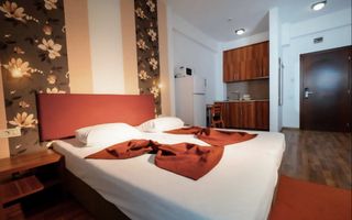 Vilă turistică premium 4★ de vânzare |Afacere la cheie |Ocnele Mari–lângă salina - Poză 2