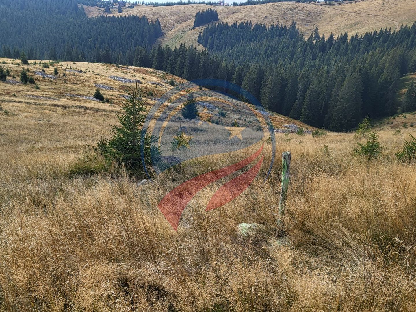 Teren de vanzare in Horezu/Bolca Pietrele Scrise/Valcea - Poză 1