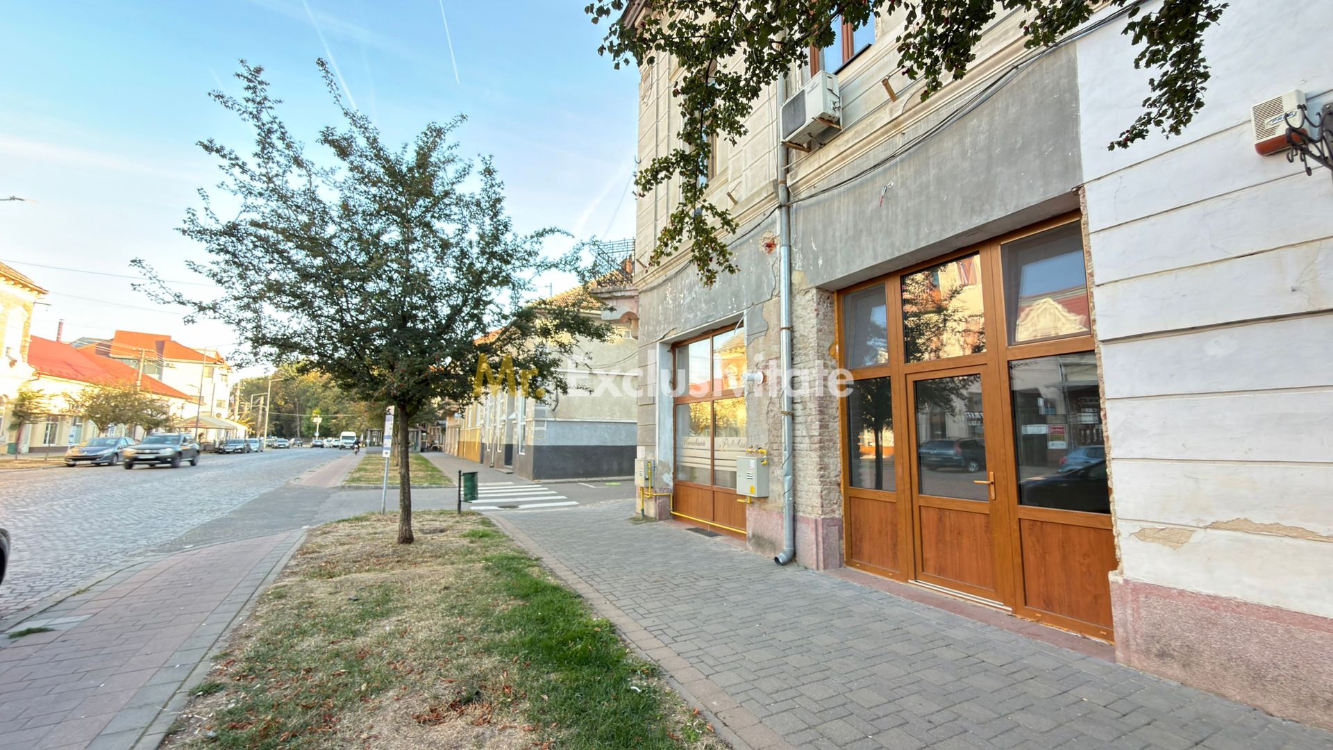 De Inchiriat Spațiu Comercial 42 mp - Str. 1 Decembrie 1918 – Carei - Poză 4