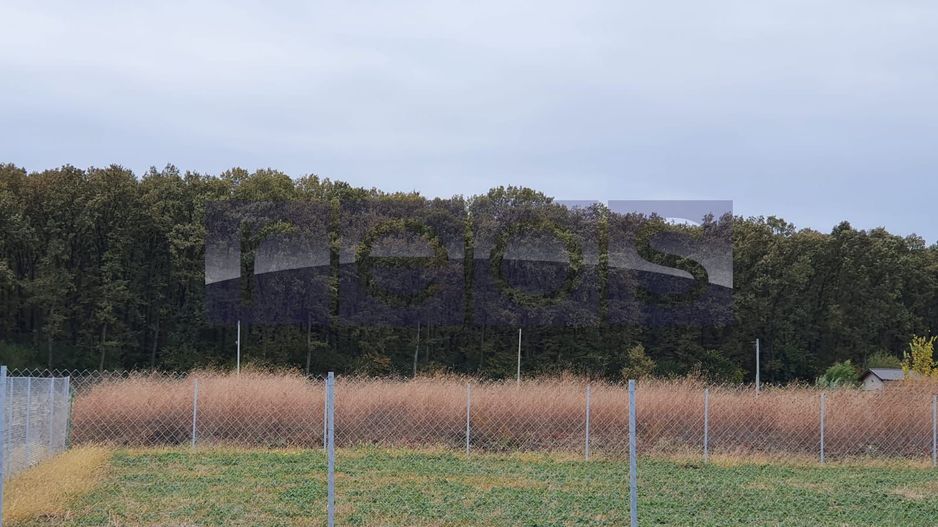 VANZARE TEREN 1500 MP| GHERMANESTI | PADUREA SNAGOV - Poză 5