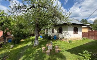 2 Case + teren 1390 mp langa parcul central Provita de Sus - Poză 24