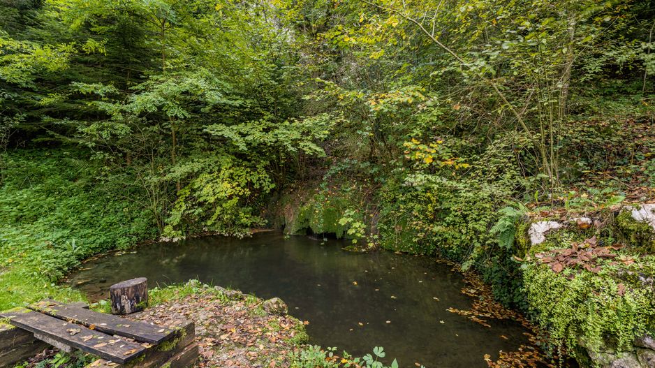 Domeniu în satul Căprioara - Poză 19