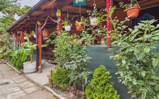 Casă la curte comună, zona Iosefin - Poză 12