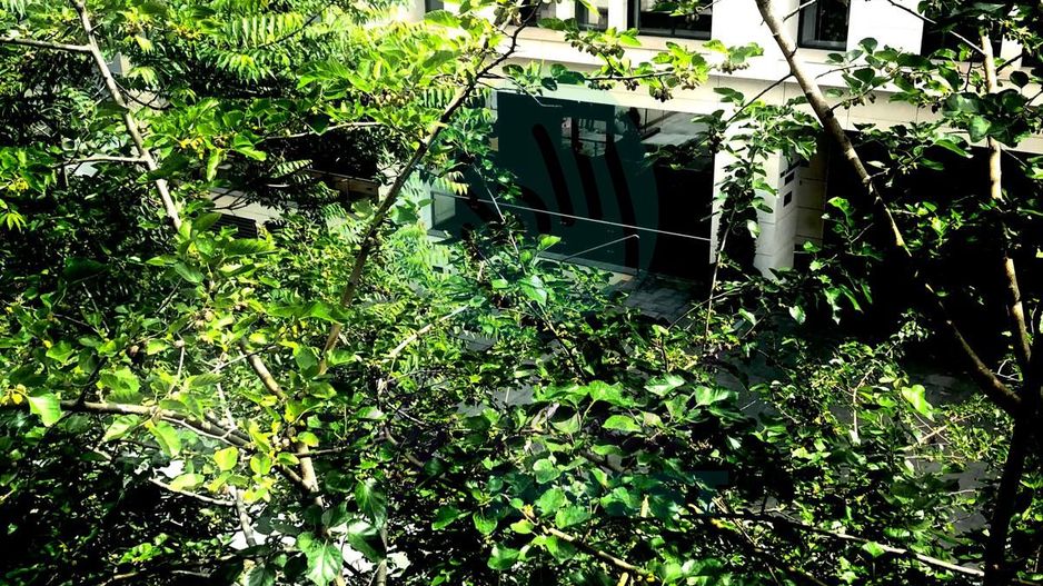 Apartament cu 3 camere renovat si cu parcare - Poză 9