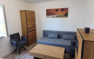 Vânzare apartament 2 camere decomandat Luică - Poză 5