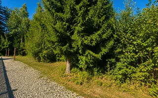 TEREN INTRAVILAN 744 MP | VALEA AVRIGULUI | IDEAL PENTRU CABANĂ - Poză 14