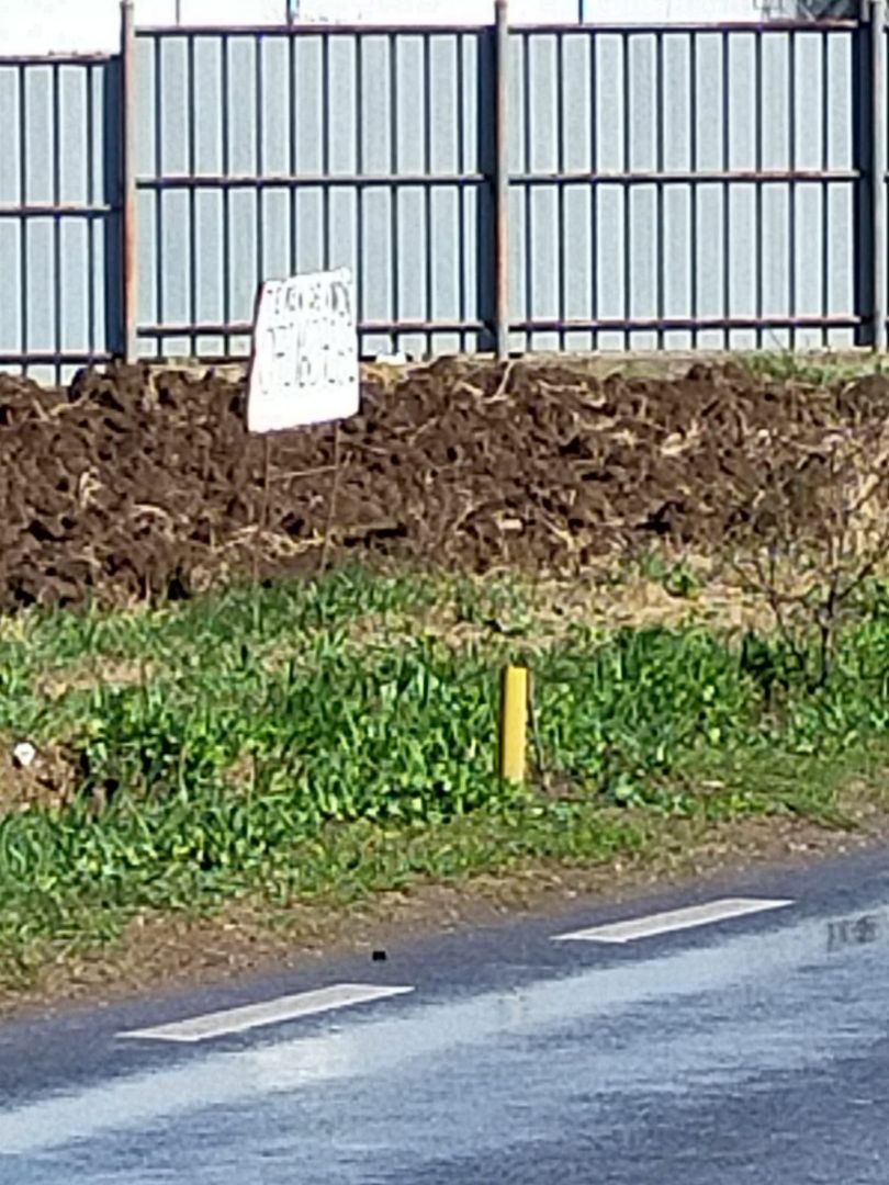 Teren de vânzare în Dascalu, judet Bucuresti Ilfov - Poză 2