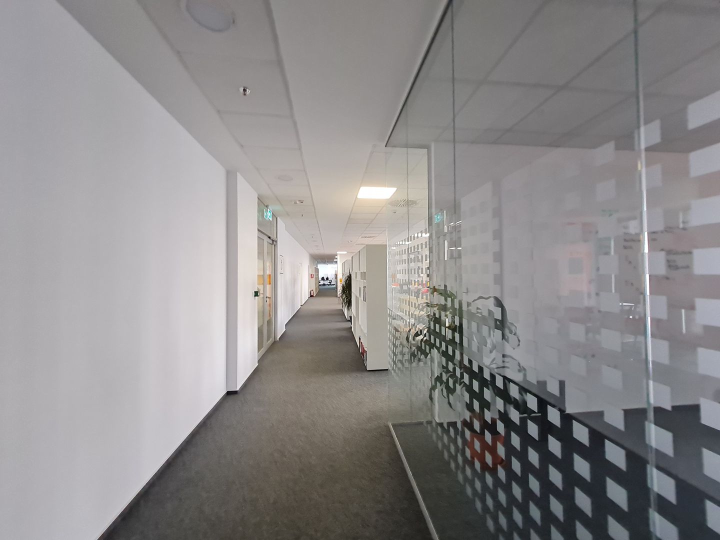Spații de birouri de la 200 mp la 800 mp - Poză 7