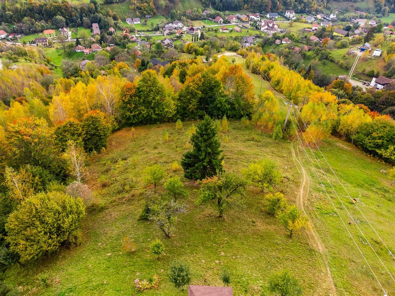 In arena Parcului Natural Piatra Craiului, Magura, Moieciu, Brasov - Poză 3