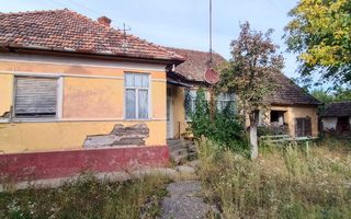 🏡  Casă de Poveste în Șiria, Arad- Locație Rară - Poză 5