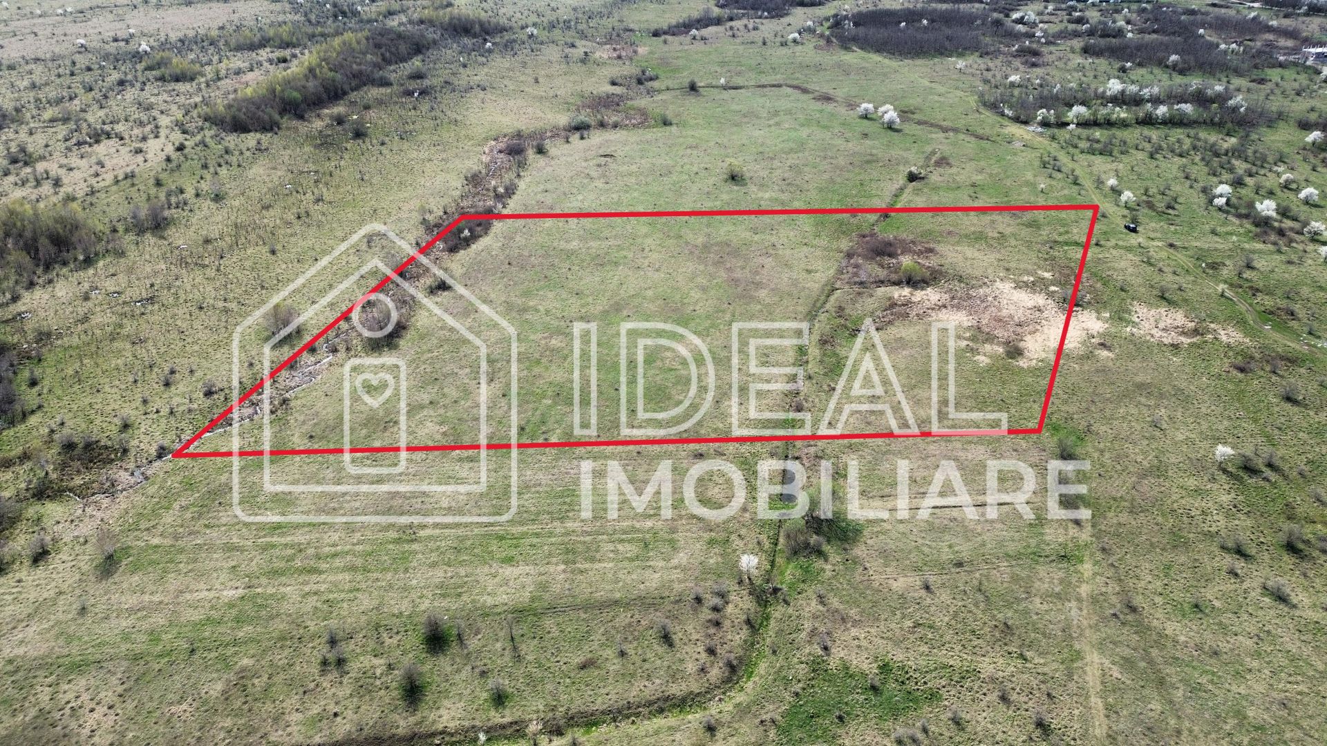 Teren 25.500 mp Valea Avrigului - Poză 1