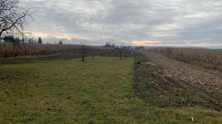 🏡 CASA BATRANEASCA + TEREN IN GALANESTI - Poză 5