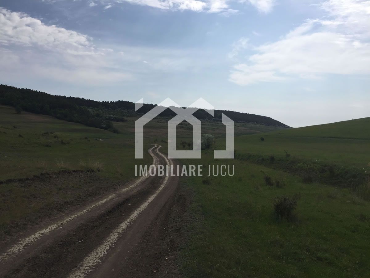 Teren Intravilan Jucu de Mijloc – proiect de locuinte aproape de Cluj - Poză 2