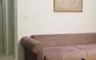Apartament 2 camere Chisoda cu grădină - Poză 4