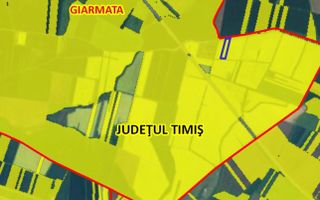 Teren arabil 20550 mp in Giarmata aproape autostrada A1 - Poză 2