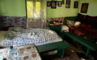 Două case cu teren de 36.291 mp, în Dealul Mic - Poză 6