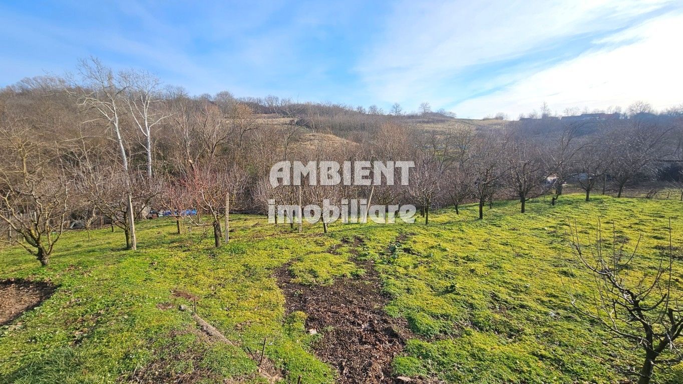 REDUCERE de PRET - Casa traditionala in Secuia, la 10 km de Vaslui; - Poză 3