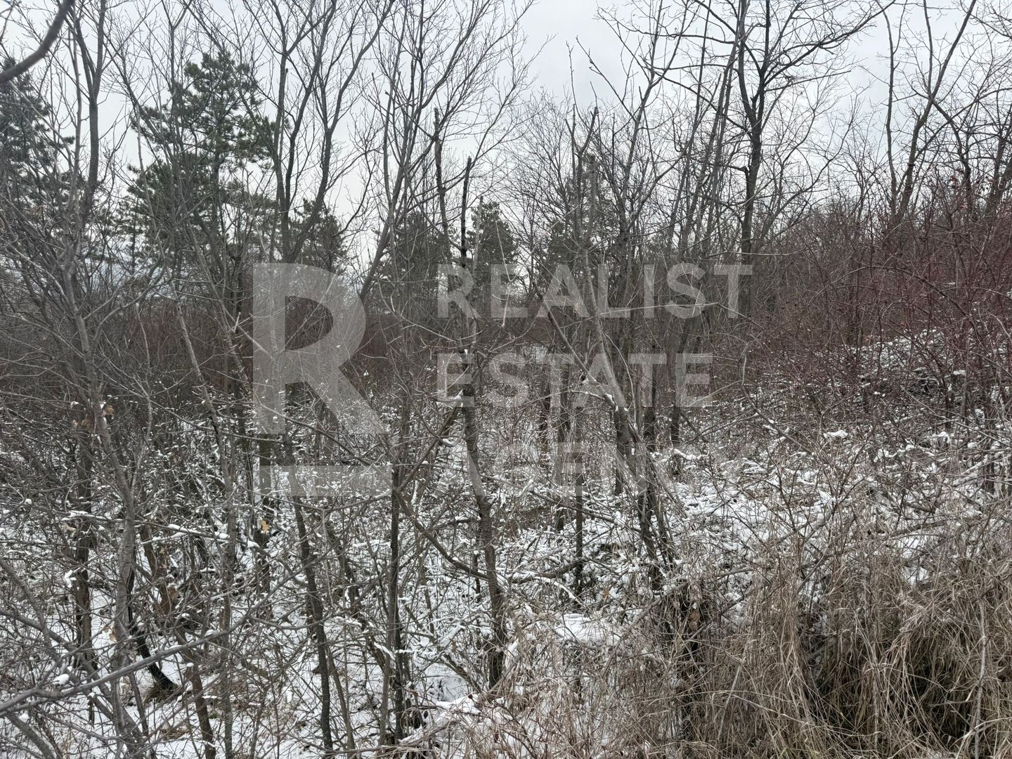 Teren extravilan/ fostă livadă/ zona Bucium, Iași - Poză 4