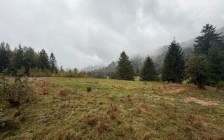 Teren Extravilan | 6.100 mp | Brodina | 41.500 € negociabil - Poză 1