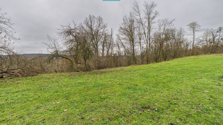 Casă cu teren de 24.679,73 mp, în Hălmagiu, Arad - Poză 18