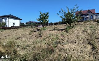Teren de vânzare în Hlincea, Iași – 1000 mp, utilități complete - Poză 6