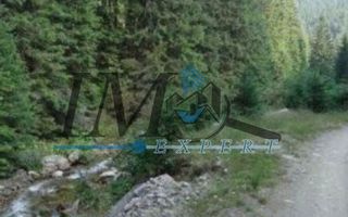 Teren de vânzarepadure  in Cugir 10.644mp - Poză 3