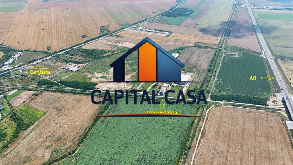 Proprietate Industrială & Logistică – Jilava (Nod A0 / Centură) - Poză 10