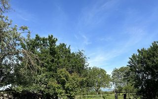 Vand Casa individuala jud SATU MARE - comuna Porumbesti - Poză 6