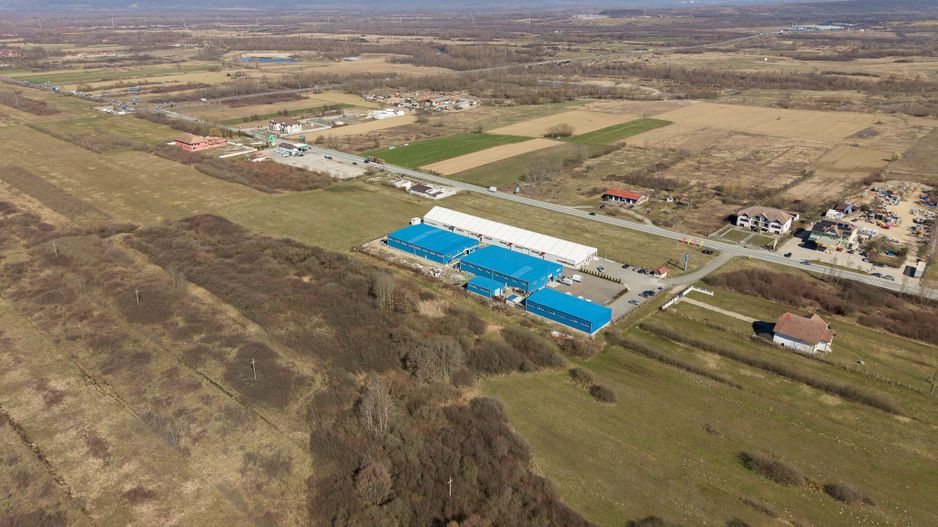 Teren extravilan de 7.000 mp lângă Păltiniș - Poză 16