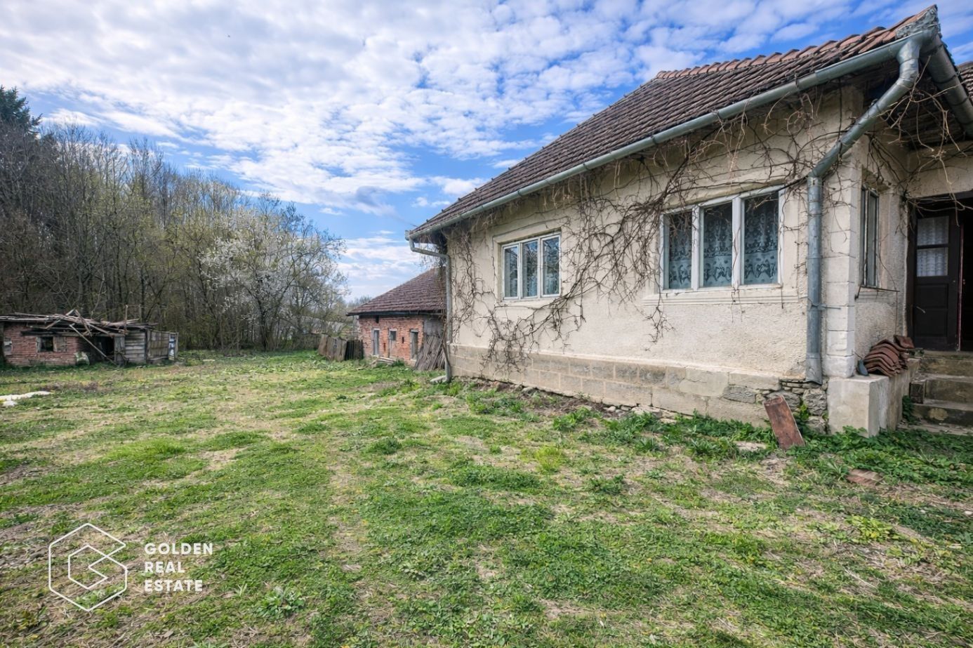 Casă cu teren generos 1.944 mp, Măgulicea, Vârfurile - Poză 3