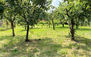 Casa cu teren 1079 mp de vanzare in Apateu, Bihor - Poză 5