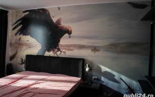 Apartament 3 camere Dumbravita - Poză 6
