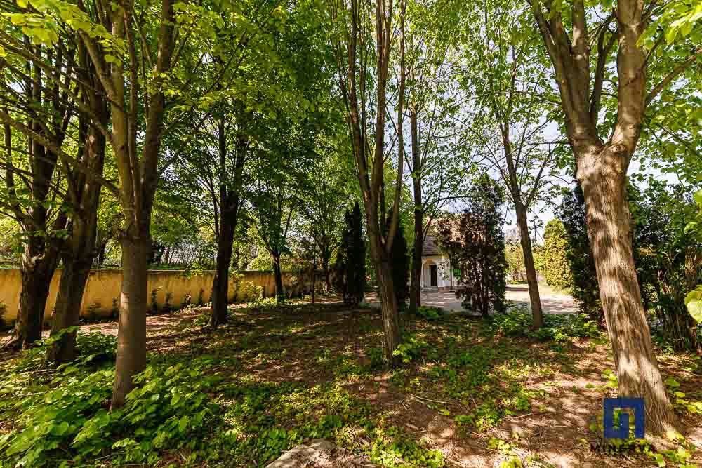 Vila cu 6 cam si 6 bai- 3465 mp teren- ideala pentru dezvotarea unui bussines  - Poză 42