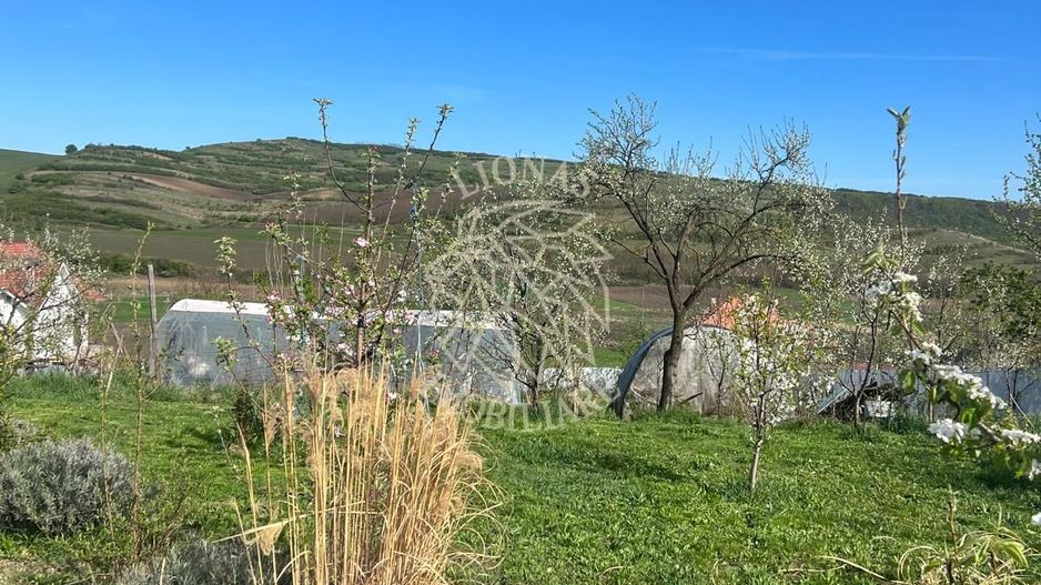 Casă ecologică 113 mp utili cu utilitati  + Teren 3100 mp, Balda, județul Mures - Poză 17