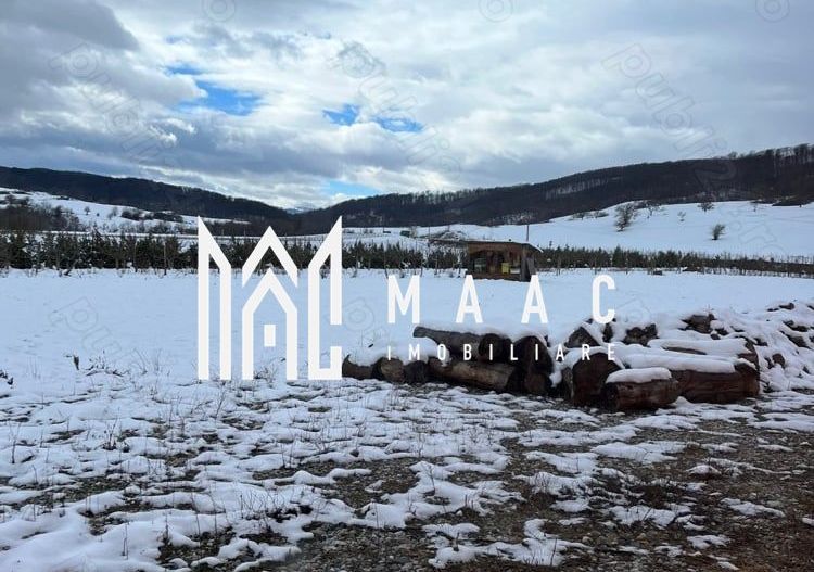 Hală industrială I Birouri I Parcare I TIR I 12000 mp I Bradu - Poză 5