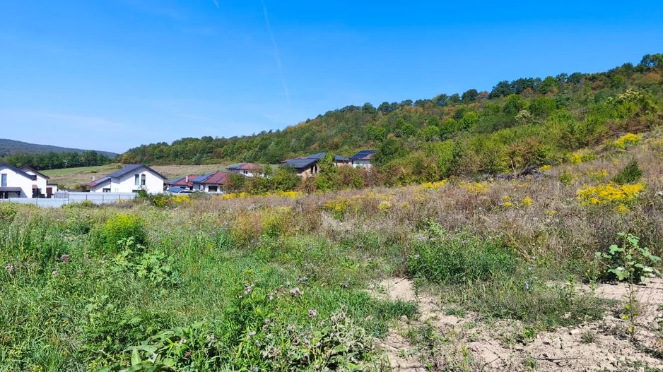 Corunca - 650 mp cu PUZ - zona superba si linistita - Poză 2