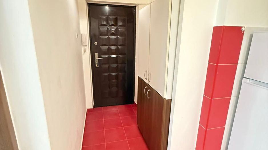 Apartament 2 Camere Teiul Doamnei Lacul Tei - Poză 10