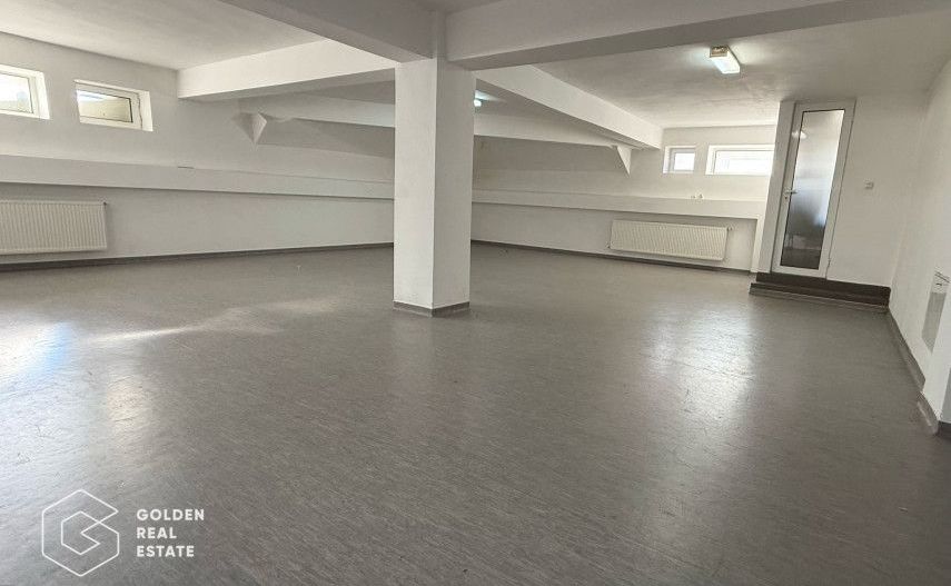 Spatiu comercial pentru activitati medicale, Calea Radnei - Poză 3