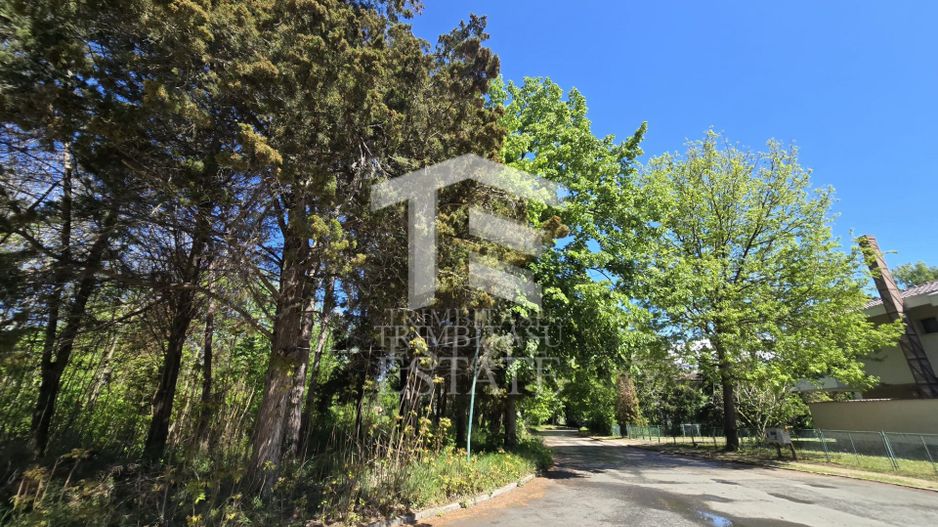 🏖 Teren de vanzare in Neptun – O oportunitate rara de investitie. - Poză 19