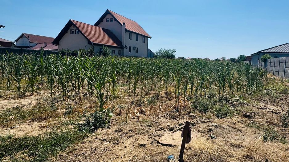 Teren intravilan 1924 mp in Nojorid - Poză 3