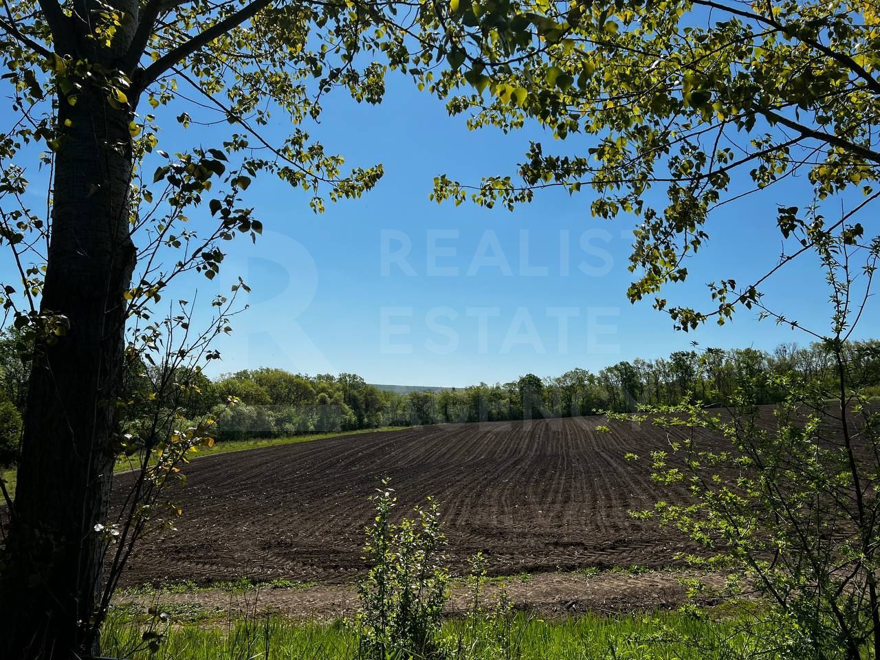 Vânzare, teren agricol, 90 ha, Orhei, satul Seliște - Poză 11