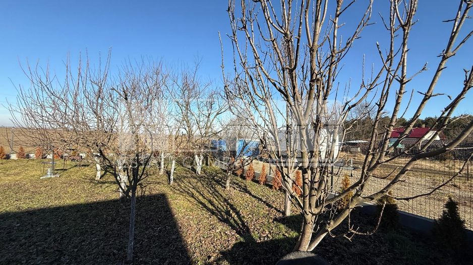 CASA DOTATA CU CENTRALA PROPRIE | CURTE | 5 ARI - Poză 9